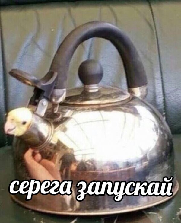 Юмор на любителя