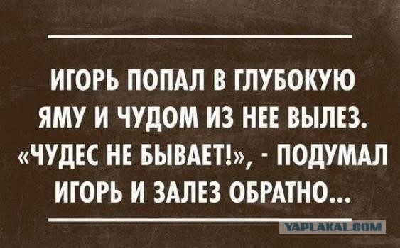 Немного картинок для настроения 01.02.20