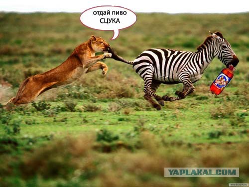 Фотожаба на пятницу