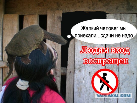 Они уже здесь...