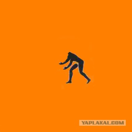 Новые олимпийские виды спорта