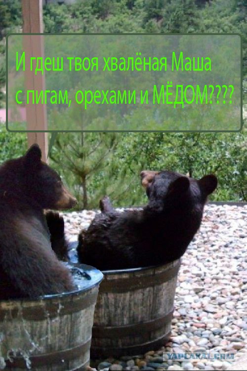 Фотожаба: Кто пил из бочки и все выпил?