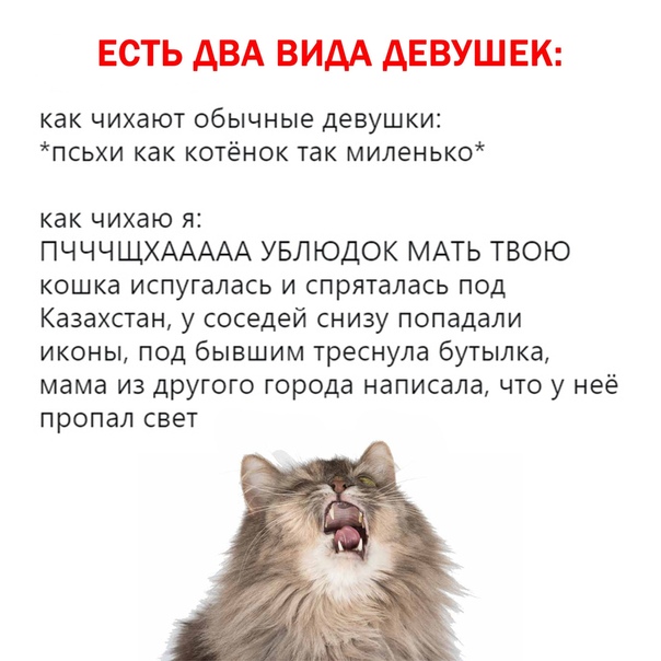 Немного картинок для настроения 10.11.20