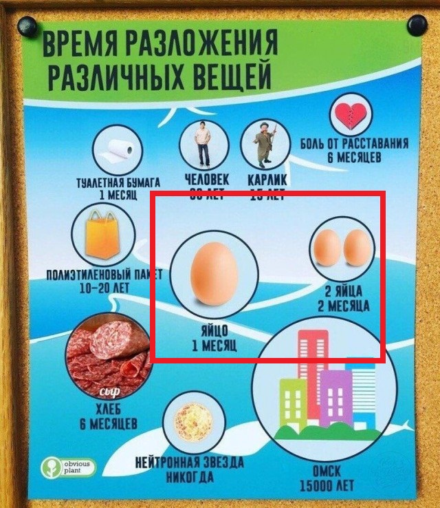 Хороший дизайнер на вес золота