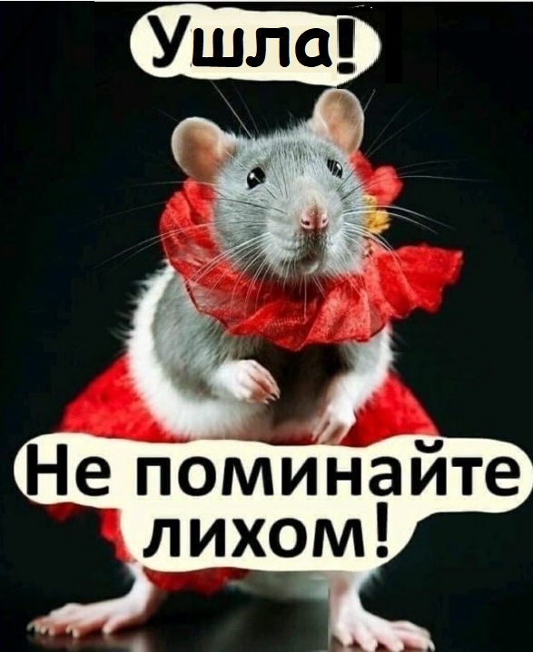Картинки с надписями и всякие жизненные фразы 2.01.2021