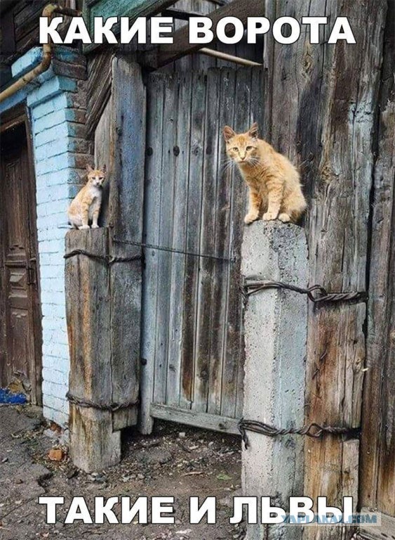 Мои картинки за 2020