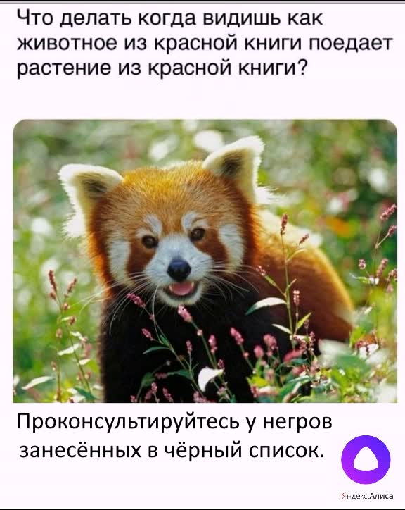 Картинки и мемы для настроения 027