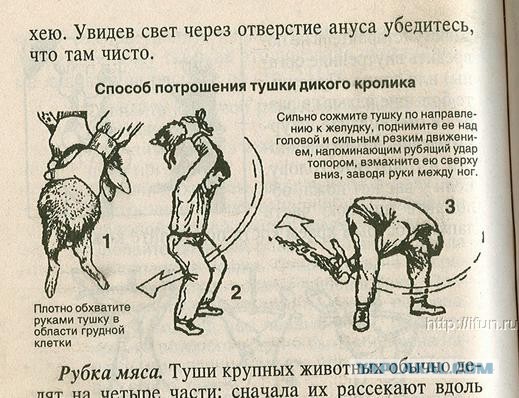 Страшная правда про макароны