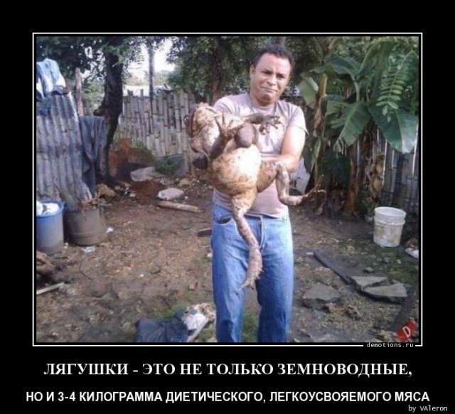 Битва за перестарок или на сколько мужики перестали себя ценить