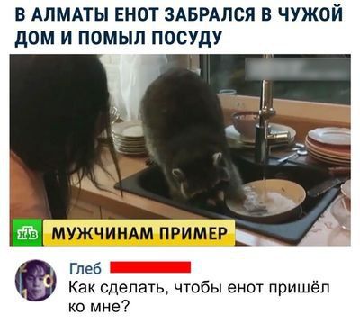 40 картинок разных 03.02.2022