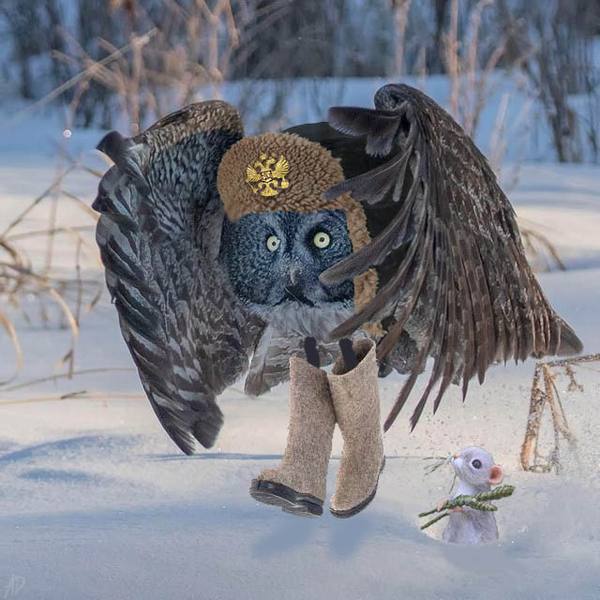 Эх, мощны мои крылищи!
