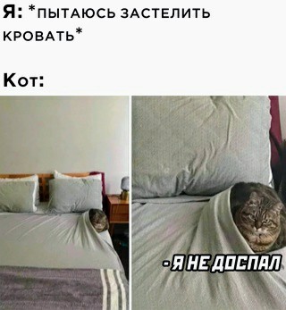 Картинки и мемы, выходные продолжаются