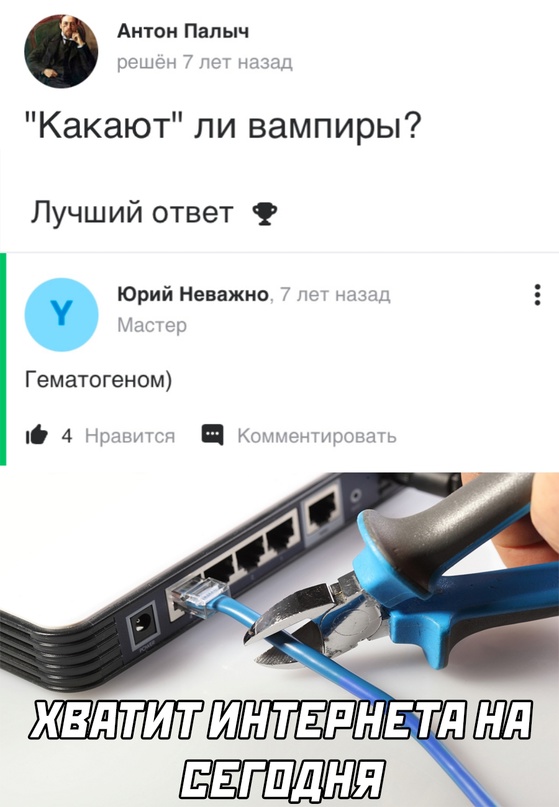 Весёлый полтишок 5.08.22