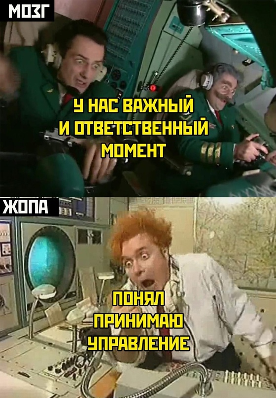 Весёлый полтишок 08.08.22