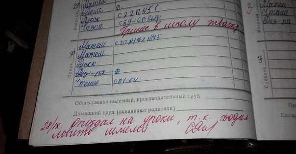 17 учительских пометок в школьных дневниках, которые заставили родителей рассмеяться