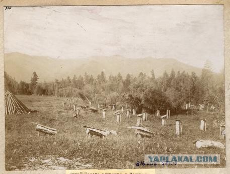 Сибирские казаки на службе и дома. Альбом 1911 года