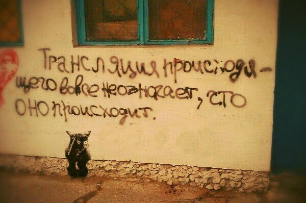 Мёртвая птица