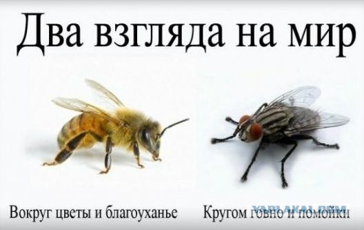 Мариуполь сегодня 29.03.23