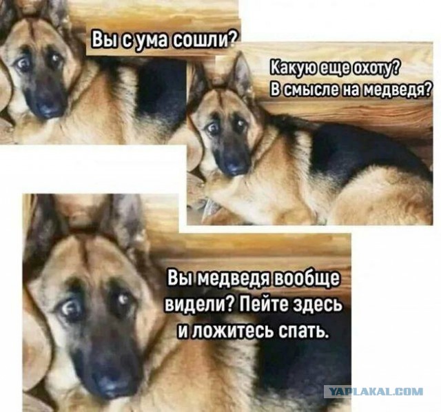 Нуштош 29.03.2023