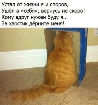Так себе картинки 20.04.23