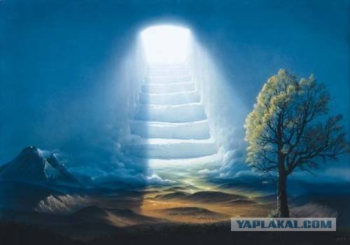 дтп вологодская область 28.04.2013