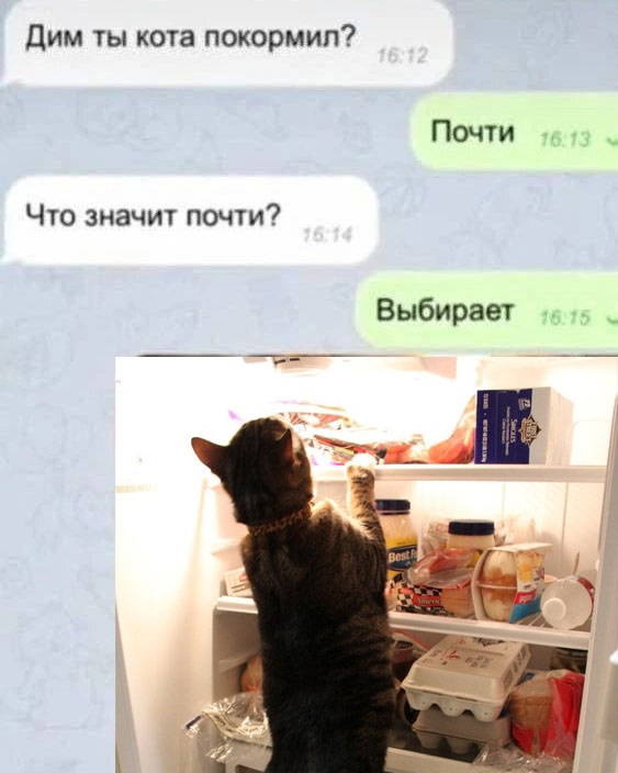Так себе картинки 10.12.24