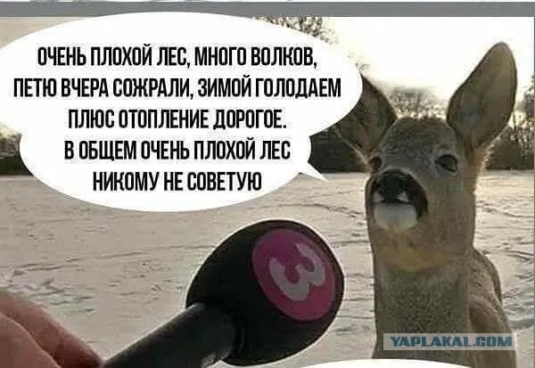 Что бы вы не говорили, что вам не говорили