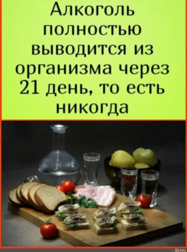 «Сухой январь» — явление, когда многие отказываются от алкоголя на месяц после запойных праздников