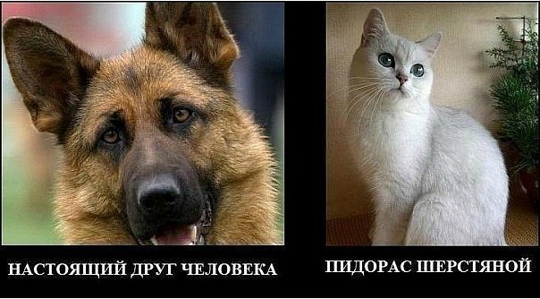 Это означает, что она тебя любит.