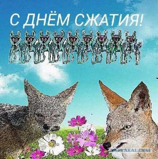 Две дипломированные специалистки