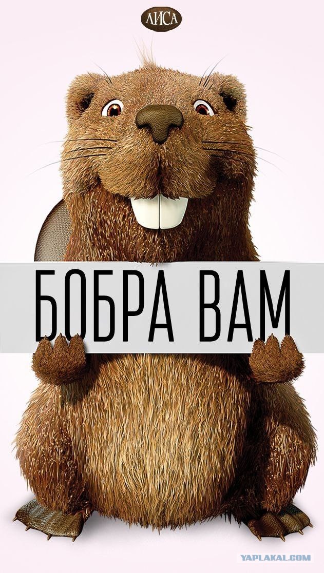 Подняться в горы и умереть