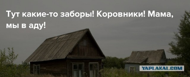 «Это п*здец, мы в изоляции»