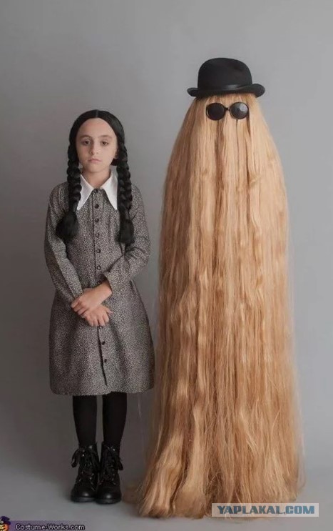 Кот-инопланетянин