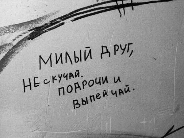Картинки для деградации 104 (разной степени свежести)