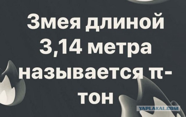 Так себе картинки 21.12.25