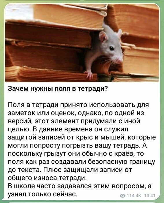 Куча мала 14