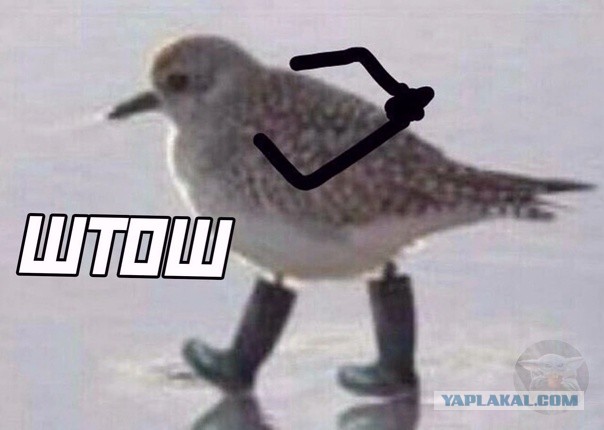 Сегодня будет бред