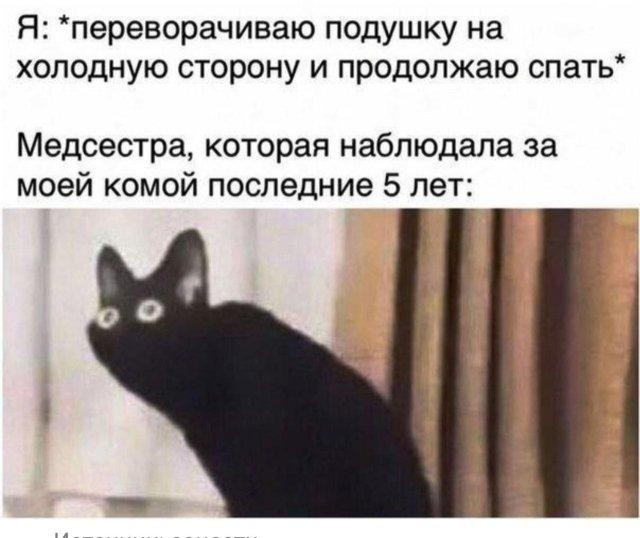 Картинки для деградации 232 (разной степени свежести)