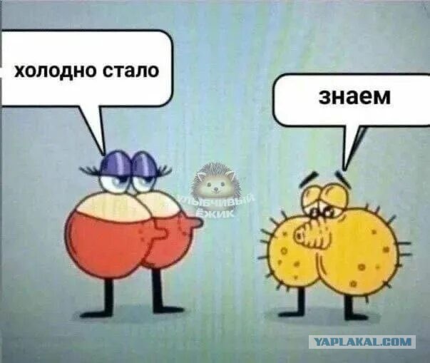 День без лифчика
