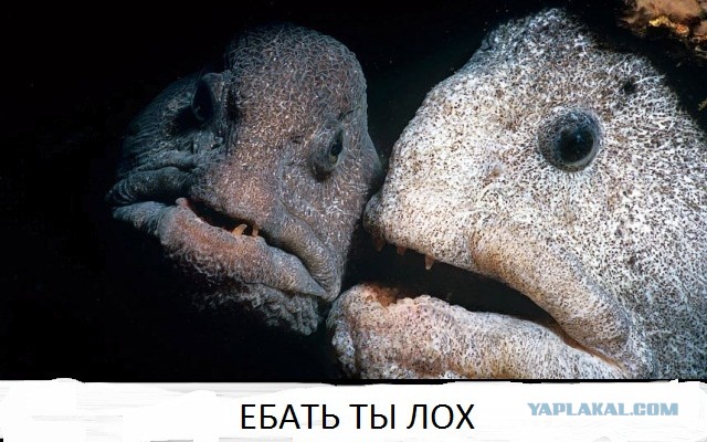 Ужасы морей и океанов