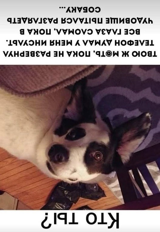 Картинки на среду