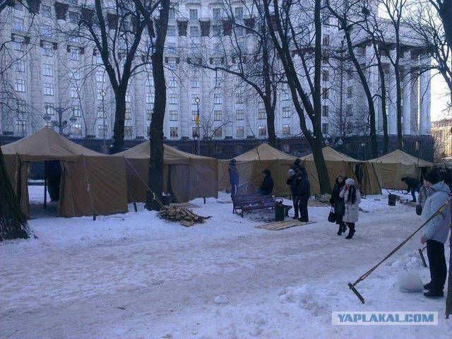 Беркут пошел на штурм