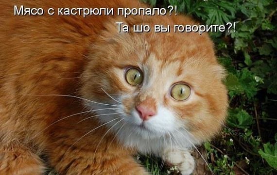 Не про олимпиаду