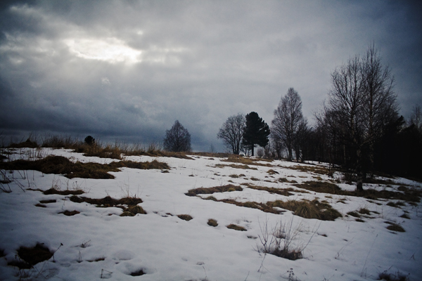 Скоро зима, товарищи !