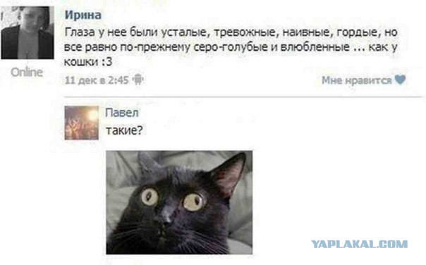 Смешные комментарии из социальных сетей (часть 5)