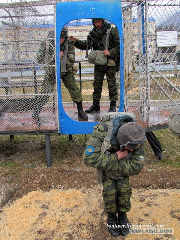 7-я десантно-штурмовая дивизия (горная). Боевая по