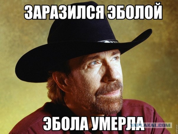 Веселые картинки