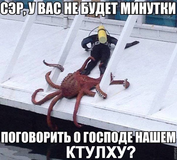 Весёлое из сети