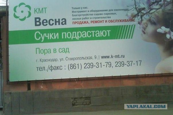 Маразмы