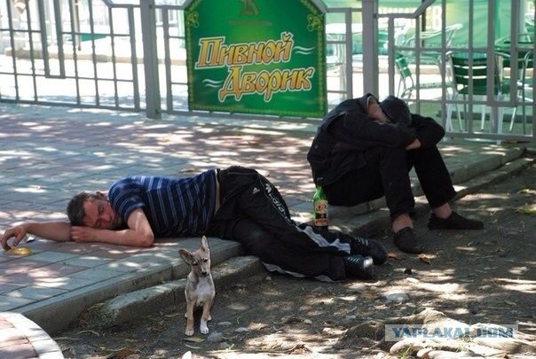 Хорошо погуляли!